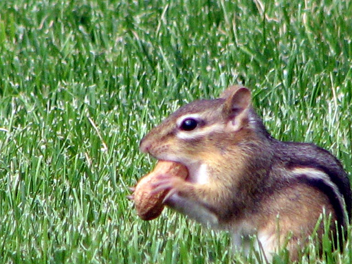 External Image
