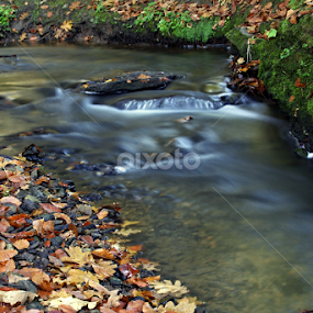 Water is life by Milan Horejsi - Landscapes Waterscapes