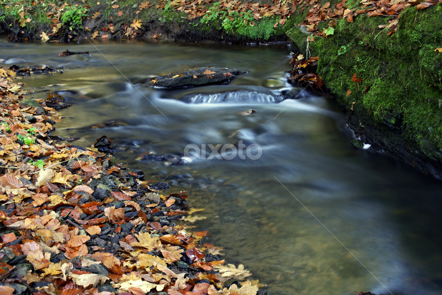 Water is life by Milan Horejsi - Landscapes Waterscapes