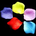 3D Petal logo