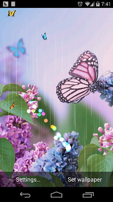 蝶カラフルな春の花の壁紙 Androidアプリ Applion