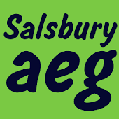 Salsbury FlipFont