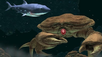 Hungry Shark - Part 2