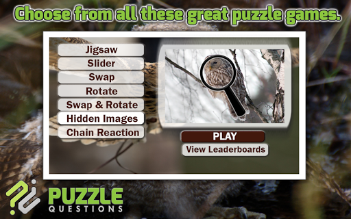 Owl Puzzle Games