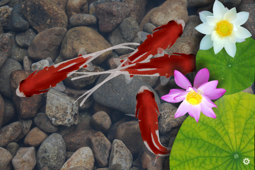 Beautiful Fish Screensaver Screen 2