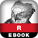 25 Recipes for R