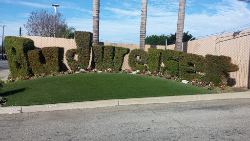 Budweiser Topiary
