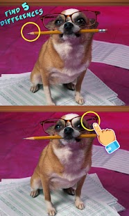 Lastest Find Differences Animals APK