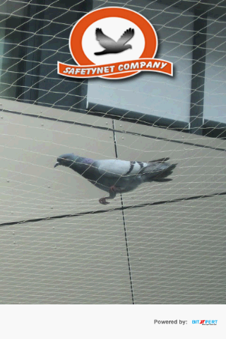 Safetynet : Bird Safety net
