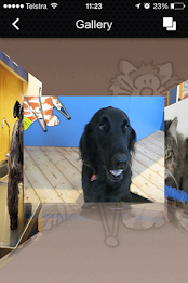 Malvern Veterinary Hospital poster 10