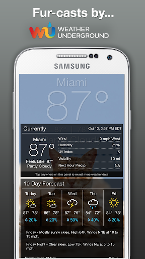 【免費天氣App】Weather Kitty-APP點子