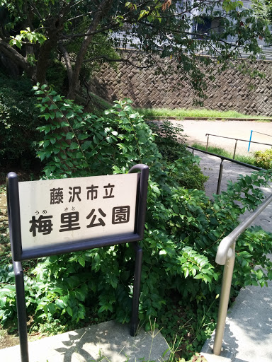 藤沢市立 梅里公園
