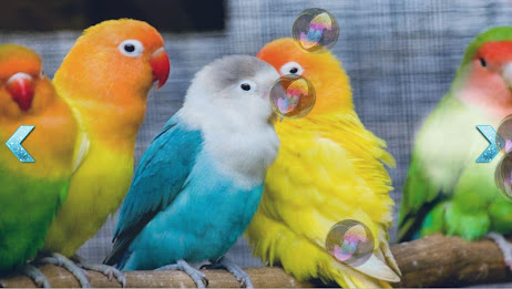 Baby Soap bubbles poster 15