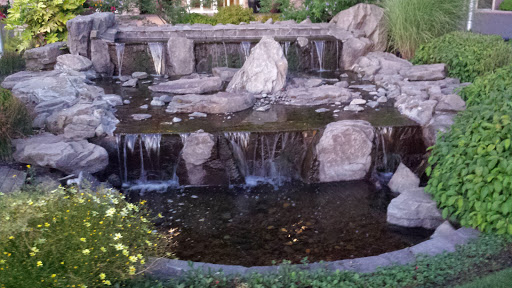 The Springs at Tanasbourne Fountain