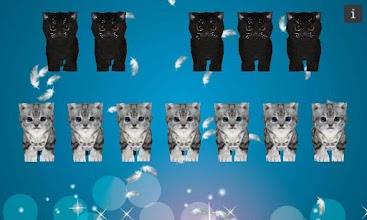 3D Naughty Kitten Cat Piano APK Download for Android