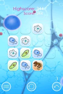 Download Evo Rush APK