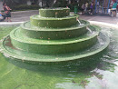 Green Fountain