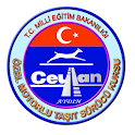 Ceylan Surucu Kursu logo