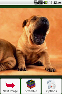 Doggies Puzzle Screenshots 11