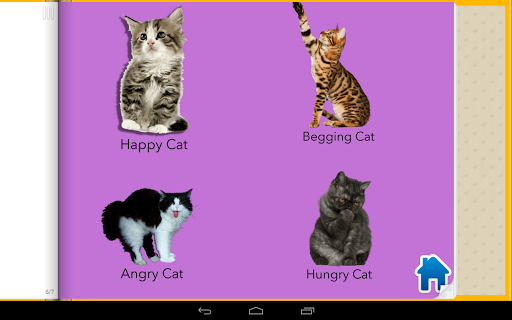 【免費音樂App】Call Your Cat Sound Board-APP點子