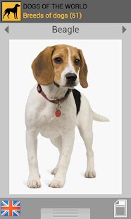 Free Download Dogs of the world APK for Android