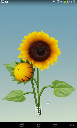Sunflower Free Live Wallpaper