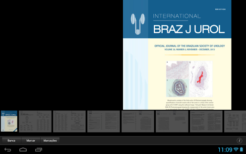 Braz J Urol Screenshots 3