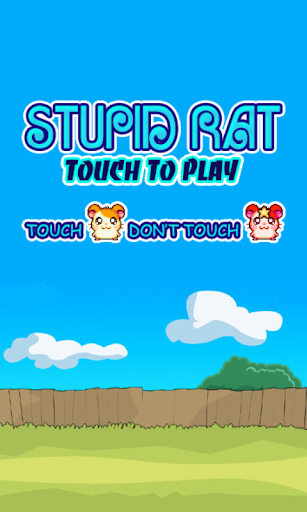 Stupid Rat