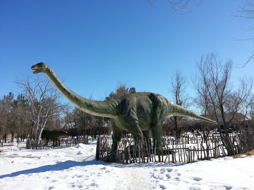 Динопарк. Апатозавр
