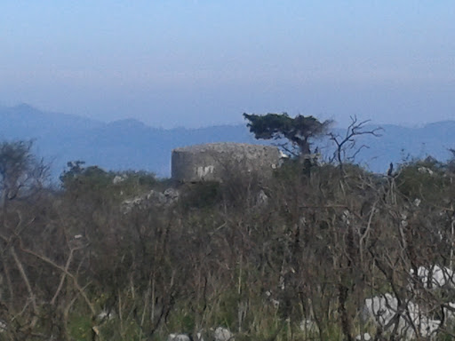 Bunker Naranco 