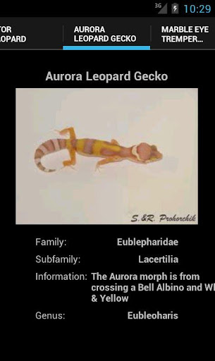 【免費教育App】Leopard Geckos-APP點子