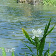 立川漁場