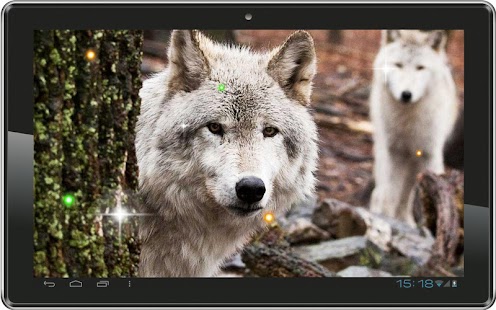 Wild Wolves live wallpaper Screenshots 1