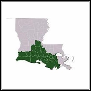 French-Cajun Quiz & Dictionary logo