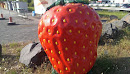 Große Erdbeere