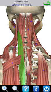 How to mod Visual Anatomy 2 2.0 apk for bluestacks