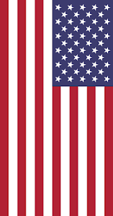 How to install Flashlight of the USA 1.1 mod apk for pc