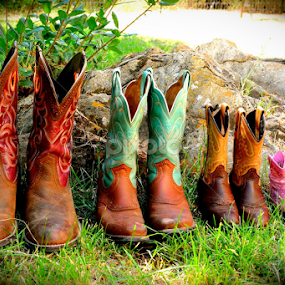 cowpokes by Angeline JoVan - Novices Only Objects & Still Life