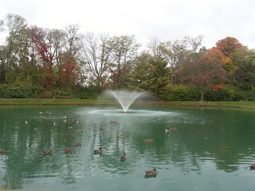 Deercross Fountain