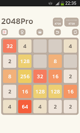 2048 Professional 5×5 poster 4