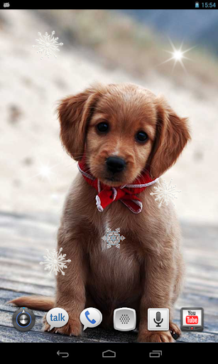 Puppies Winter Snow LWP