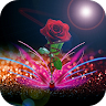 Rose Live Wallpaper Application icon