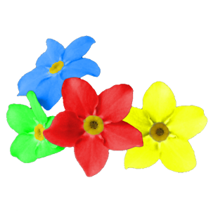 Forget me not 1.0