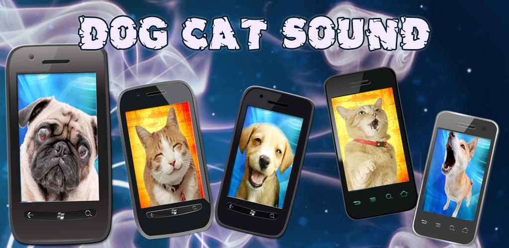 Звук собаки для кошки. Cat sound. Дружба человека и собаки и кошки. Немецкая овчарка и котенок арт. Cat sound dog.