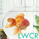 goldfish live wallpaper APK