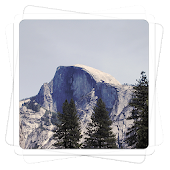 Aviary Effects: Woodland