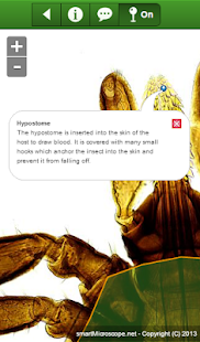 smart Microscope Screenshots 14