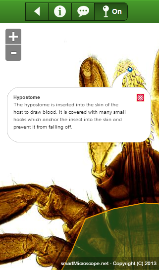 smart Microscope Screen 3