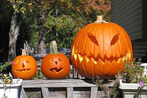 What are some pumpkin carving ideas?