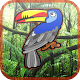 Fruit Toucan Jungle APK